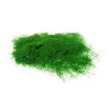 Scale model Fine Grass Medium Green Small