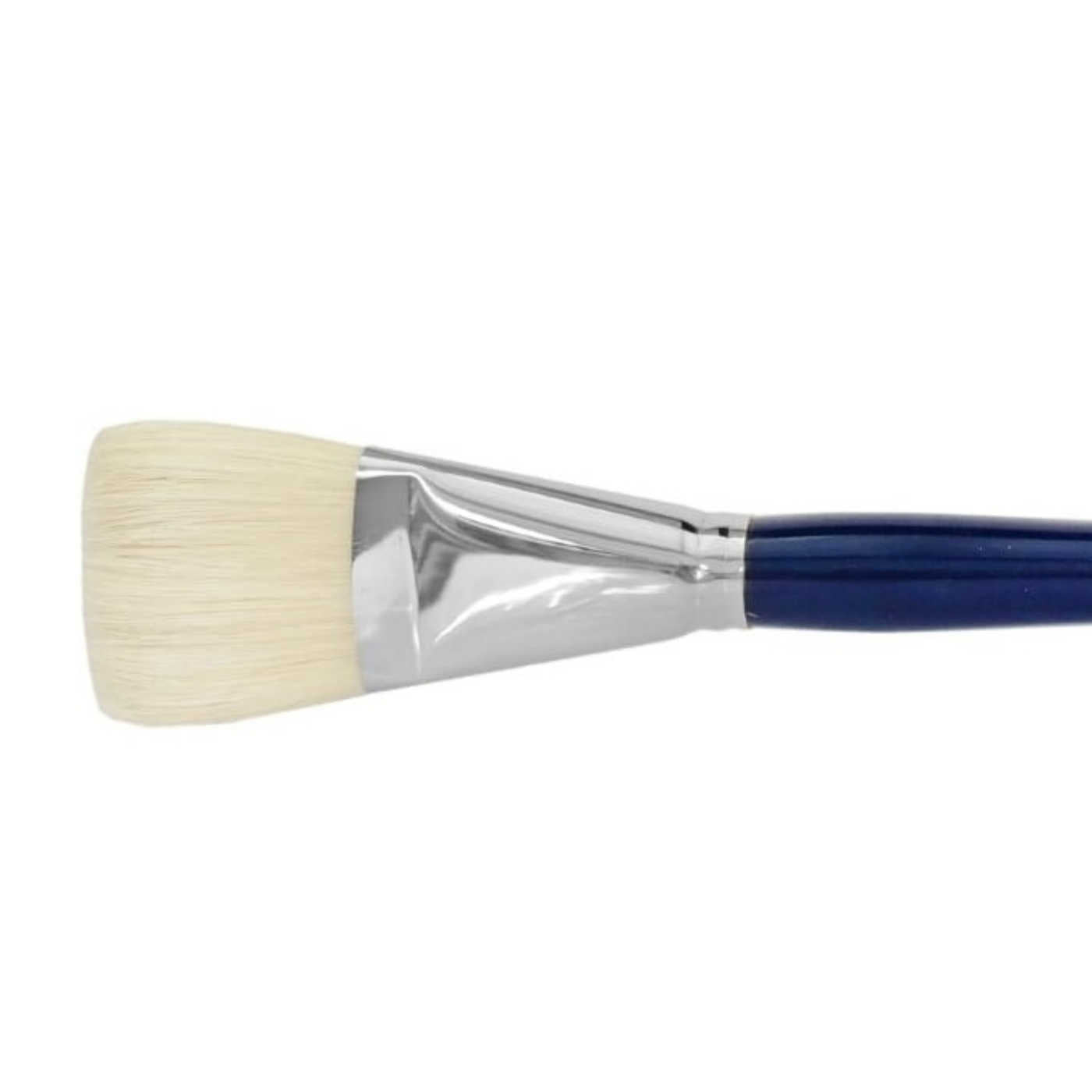 Neef 1150 Bristle Brushes Flat