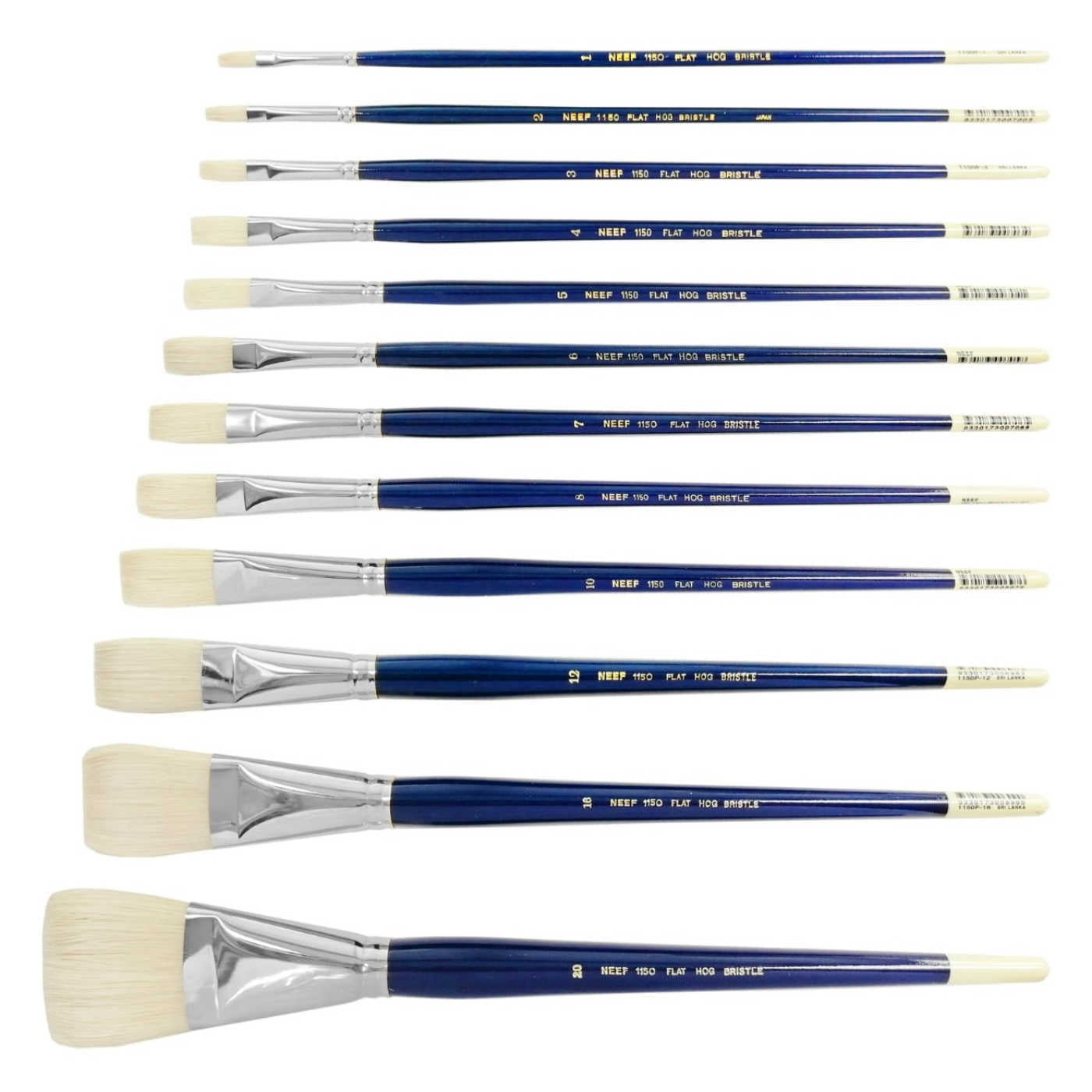 Neef 1150 Bristle Brushes Flat