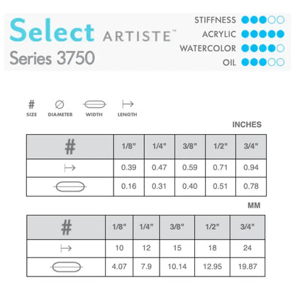 Princeton Select 3750 Filbert Grainer