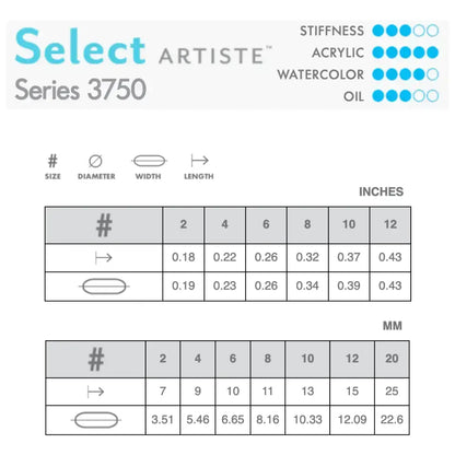 Princeton Select 3750 Flat Shader