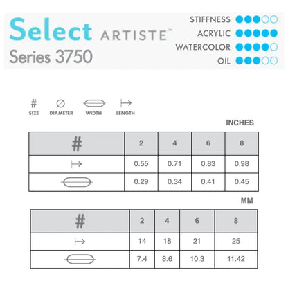 Princeton Select 3750 Pointed Filbert