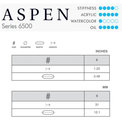 Princeton Aspen 6500 Synthetic Egbert