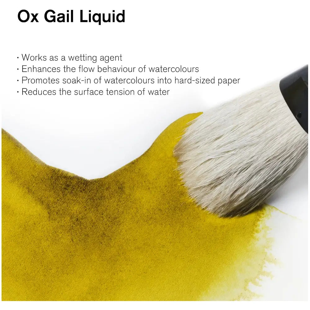 Winsor & Newton Watercolour Ox Gall Liquid