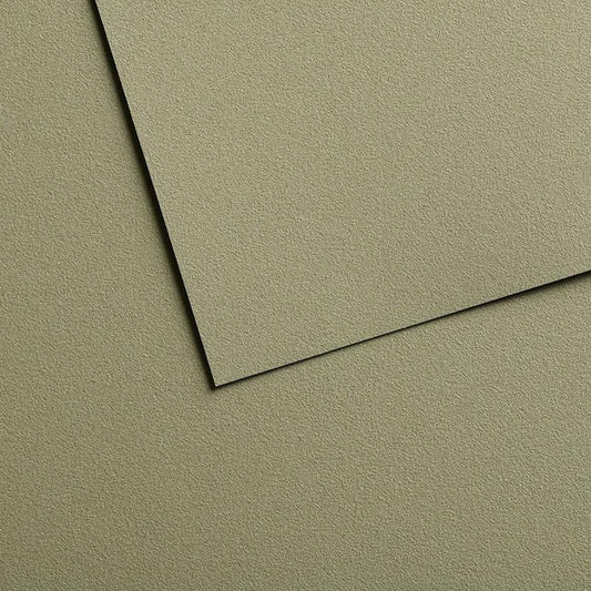 Canson Mi-Teintes Velvet Paper Sheets -Green 614