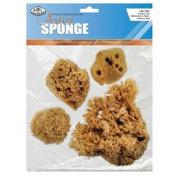 Buy Art Sponges, Craft Sponge, Sponge Art, Northcote Pottery Round  Synthetic Art Sponges, Art Supplies: Victoria, Australia at